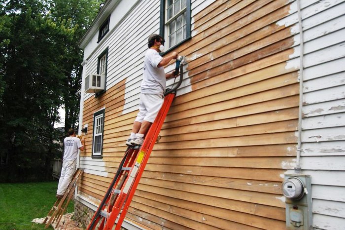 Brushing Up Your Home: Tips for a Successful House Painting Project <div class= Brushing Up Your Home: Tips for a Successful House Painting Project ...